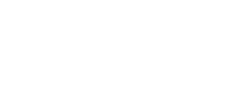 Littman Dealer White (3)